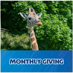 Monthly Giving